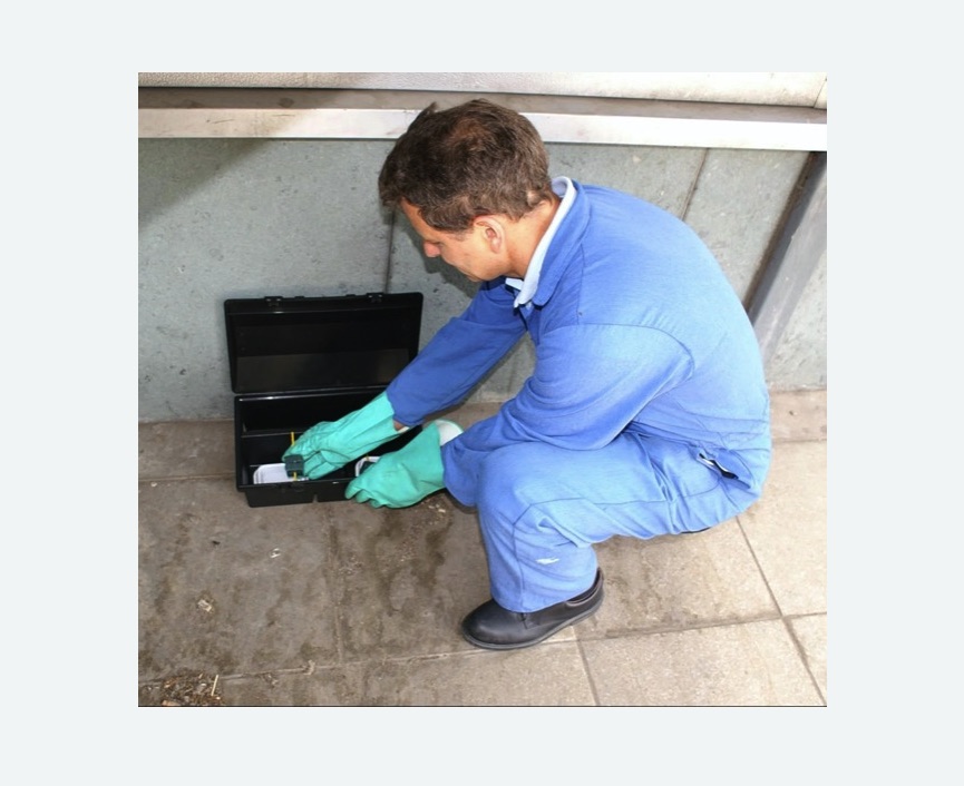 Дератизация помещения в Спасск-Рязанском Дератизация помещения