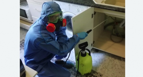 Уничтожение муравьев в квартире. Спасск-Рязанский