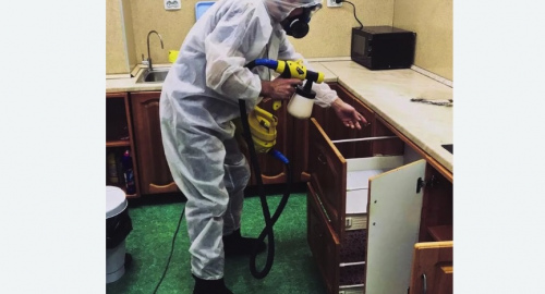 Уничтожение насекомых в квартире. Спасск-Рязанский