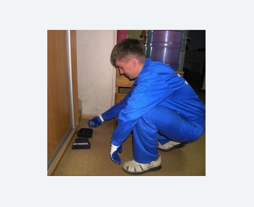 Дератизация крыс в Спасск-Рязанском