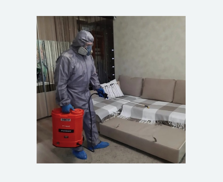 Обработка квартиры от блох в Спасск-Рязанском Обработка квартиры от блох