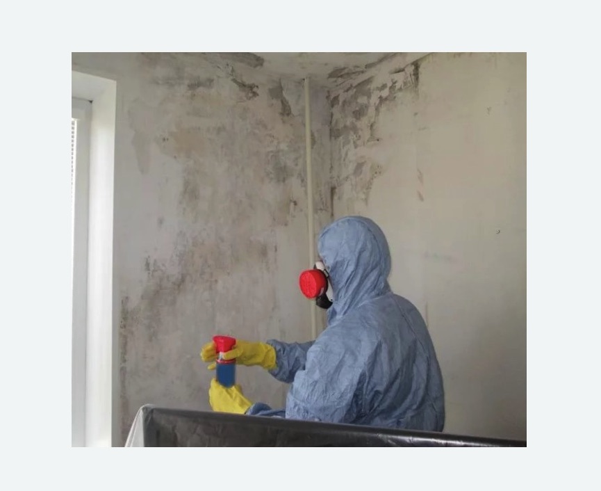 Удаление плесени в квартире в Спасск-Рязанском