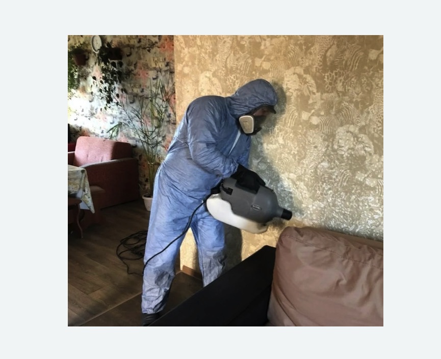 Уничтожение блох в квартире. Спасск-Рязанский Уничтожение блох в квартире