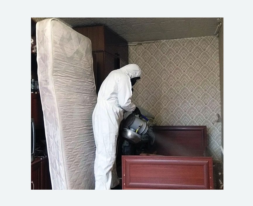 дезинфекция от клопов в Спасск-Рязанском