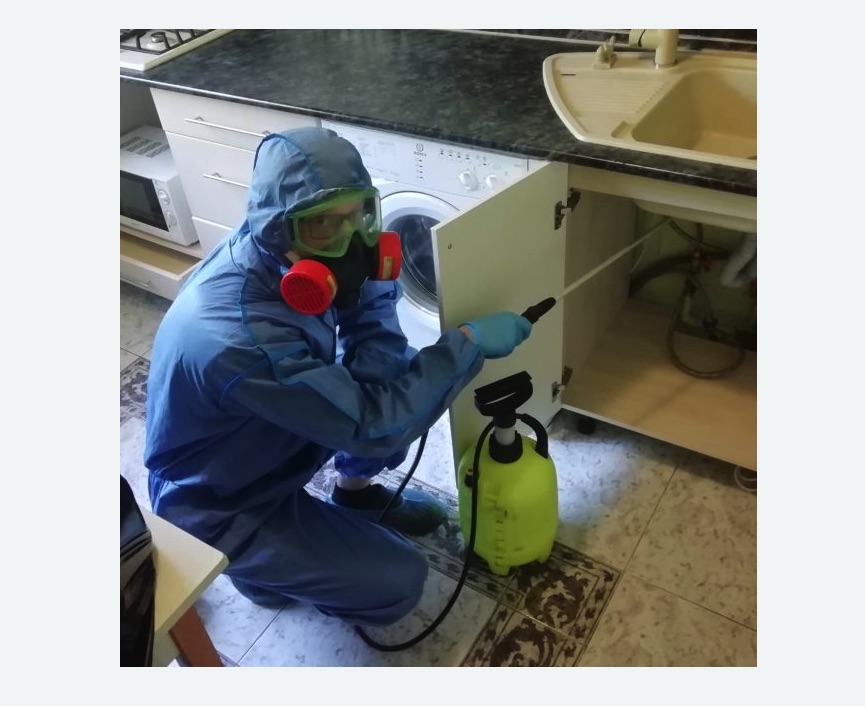 обработка от муравьев в квартире обработка от муравьев в квартире в Спасск-Рязанском