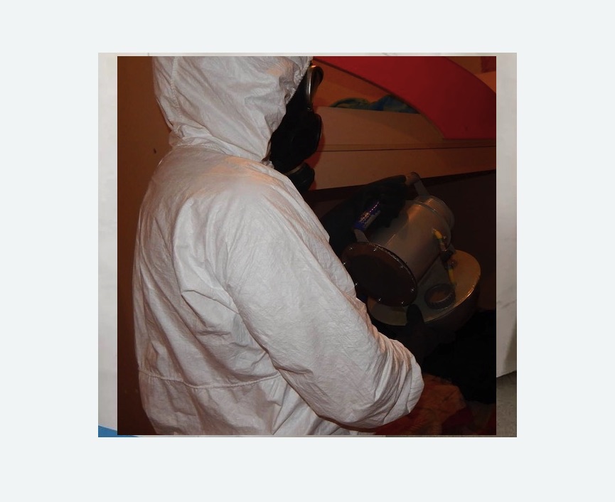 Дезинфекция от муравьев Дезинфекция от муравьев в Спасск-Рязанском