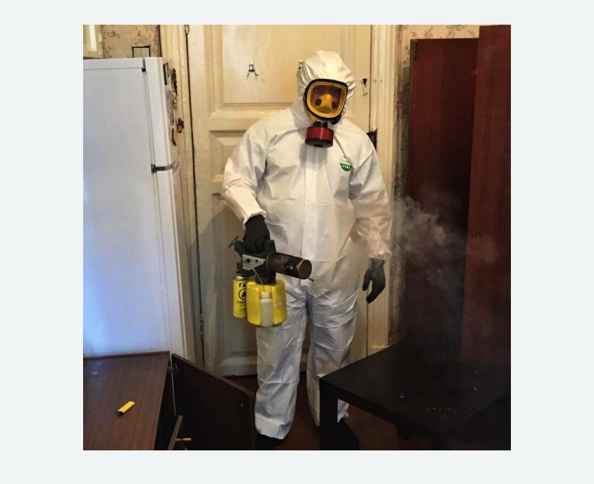 уничтожение муравьев в квартире уничтожение муравьев в квартире в Спасск-Рязанском